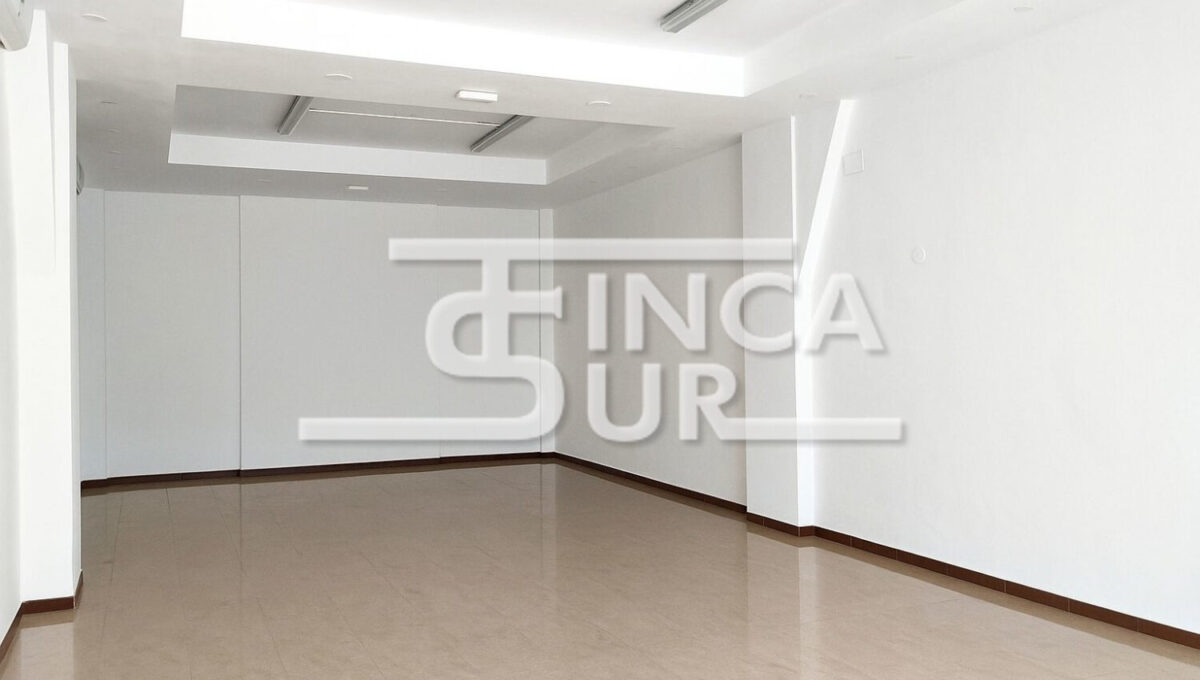 WhatsApp Image 2025-11-04 at 11.31.44