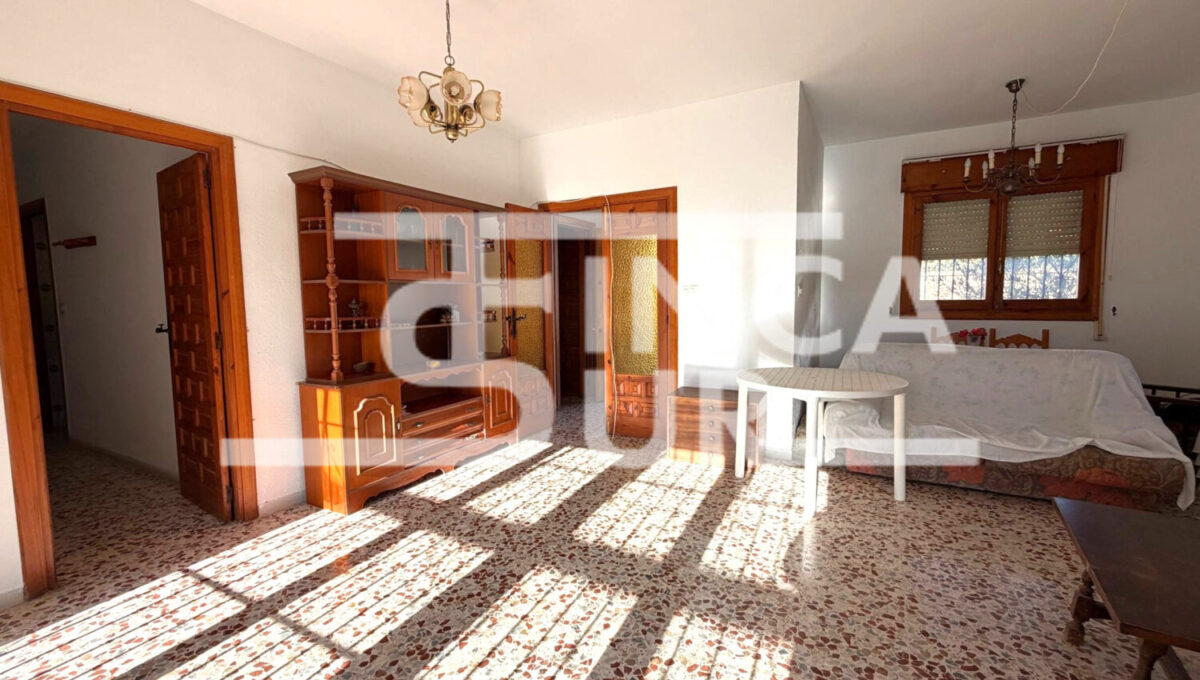 photo_1_2026-01-21_12-54-482