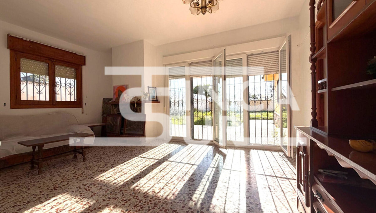 photo_53_2026-01-21_12-54-48