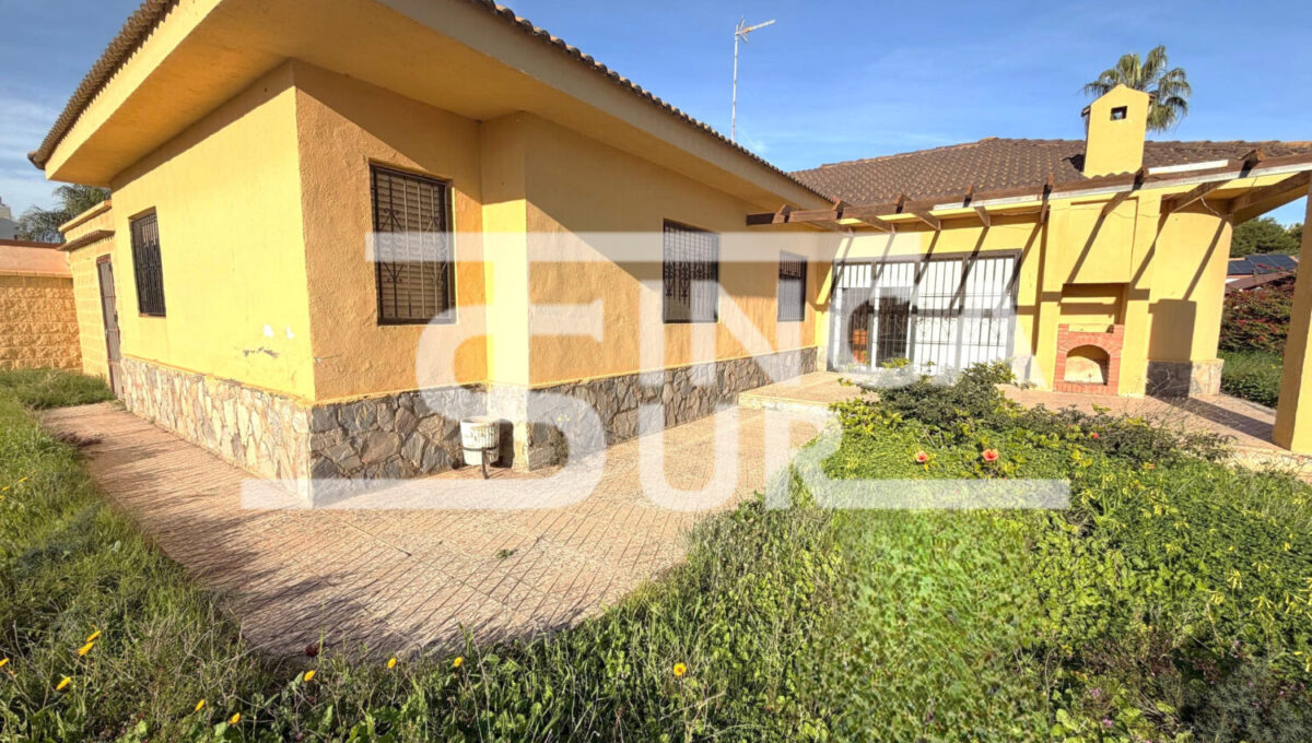 photo_65_2026-01-21_12-54-48