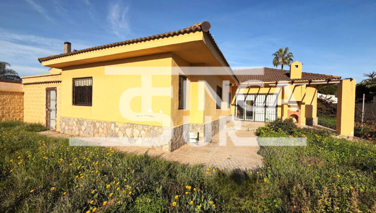 photo_67_2026-01-21_12-54-48