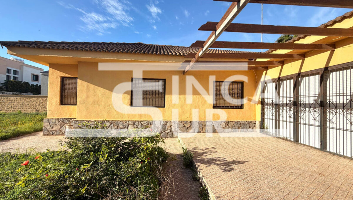 photo_78_2026-01-21_12-54-48