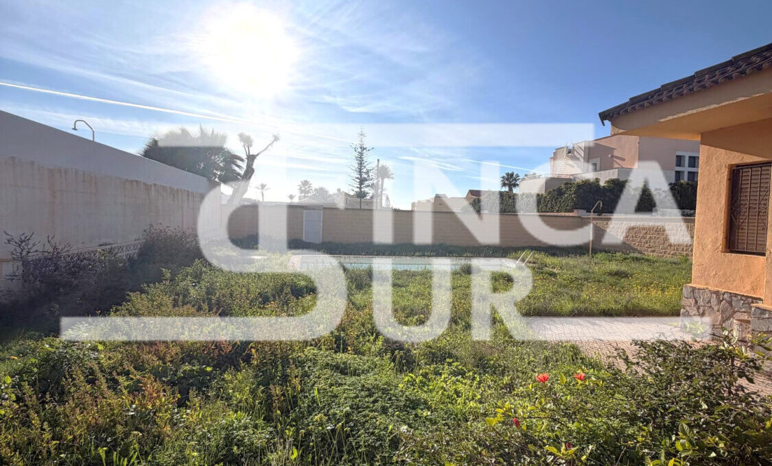 photo_81_2026-01-21_12-54-48