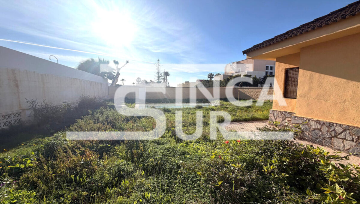 photo_82_2026-01-21_12-54-48