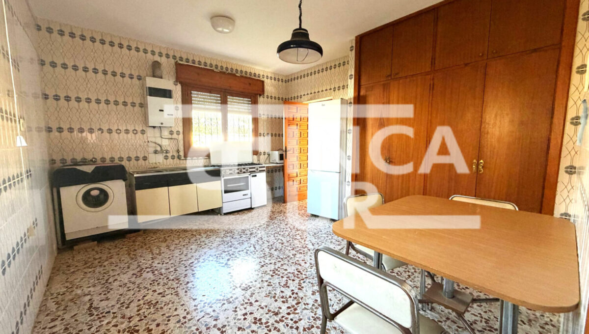 photo_8_2026-01-21_12-54-48